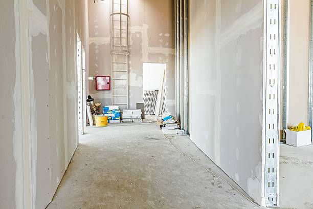 Best Drywall for New Construction  in Silver Springs, FL